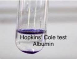 Adamkiewicz reaction (Hopkin's.